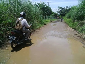 Jalan Desa Sukamekar Rusak Parah, Pemkab Bekasi Acuh