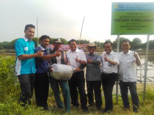 Kelompok Binaan PJB Muara Tawar Panen Kerapu