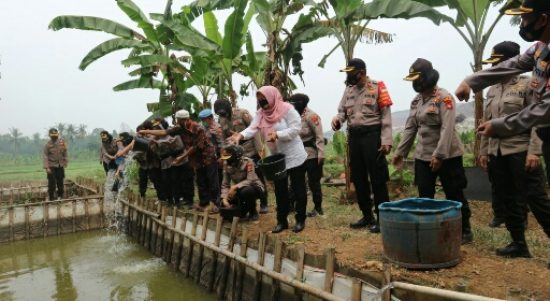 IMG-20200805-WA0082_copy_512x288